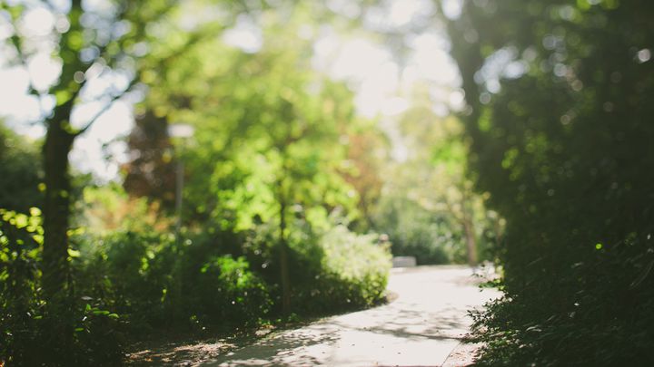 Immersion Into Colossians