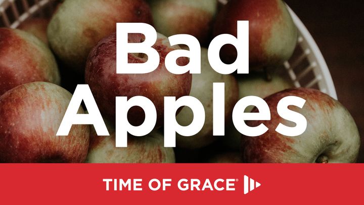 Bad Apples: Devotions From Time Of Grace