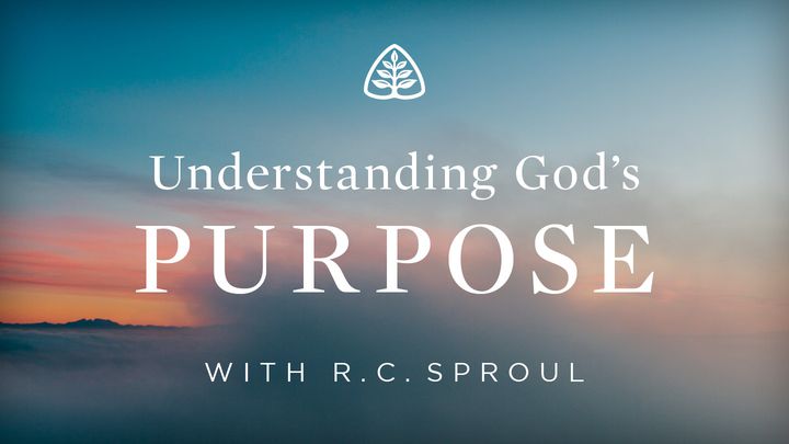 Understanding God's Purpose