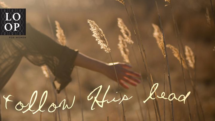 Follow His Lead // Always Home