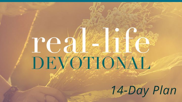Real-Life Devotions by Lysa TerKeurst