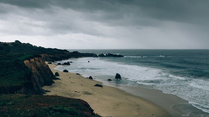 Singing Through The Storm
