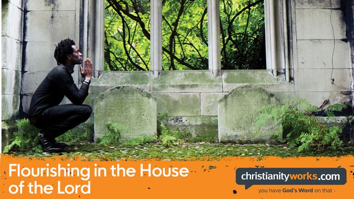Flourishing in the House of the Lord - A Daily Devotional