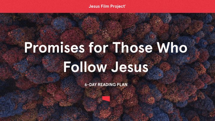 Promises For Those Who Follow Jesus
