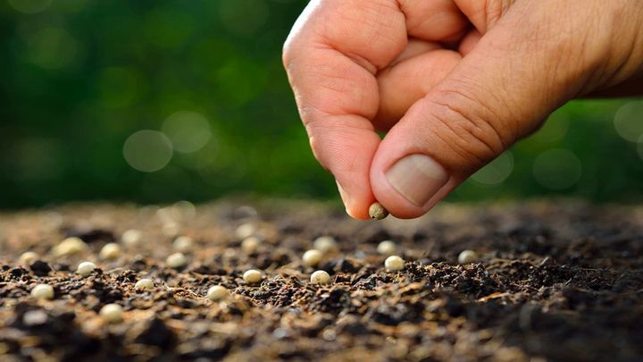 Actitudes para cultivar y fortalecer la vida de fe