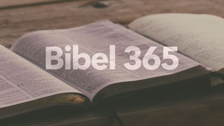 Bibel Intensiv