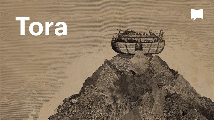 BibleProject | Thora