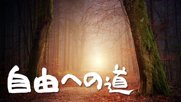 自由への道 - 神様の真理を受け取る16日間