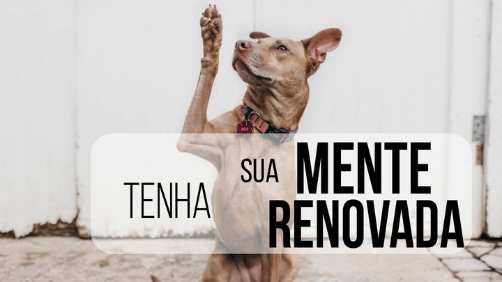 Tenha Sua Mente Renovada