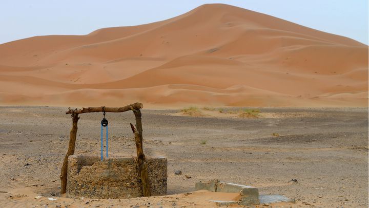 الثمن المؤلم لاتباع المعلم