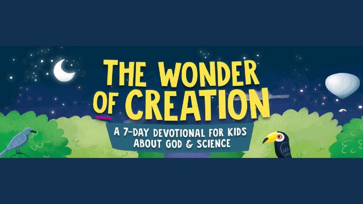 The Wonder of Creation