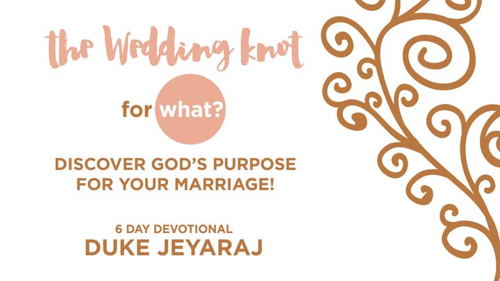 The Wedding Knot - For What?