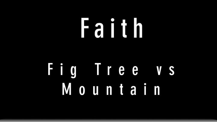 Faith: Fig Tree VS Mountain