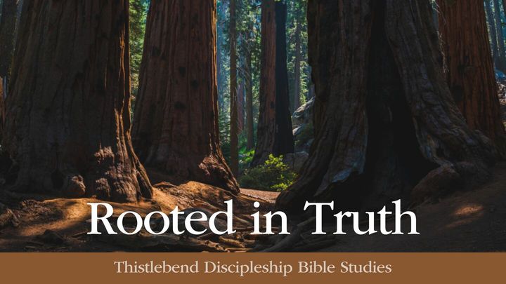Rooted In Truth: A Devotion In The Ten Commandments