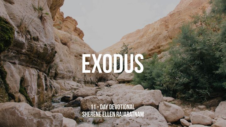 Through Exodus