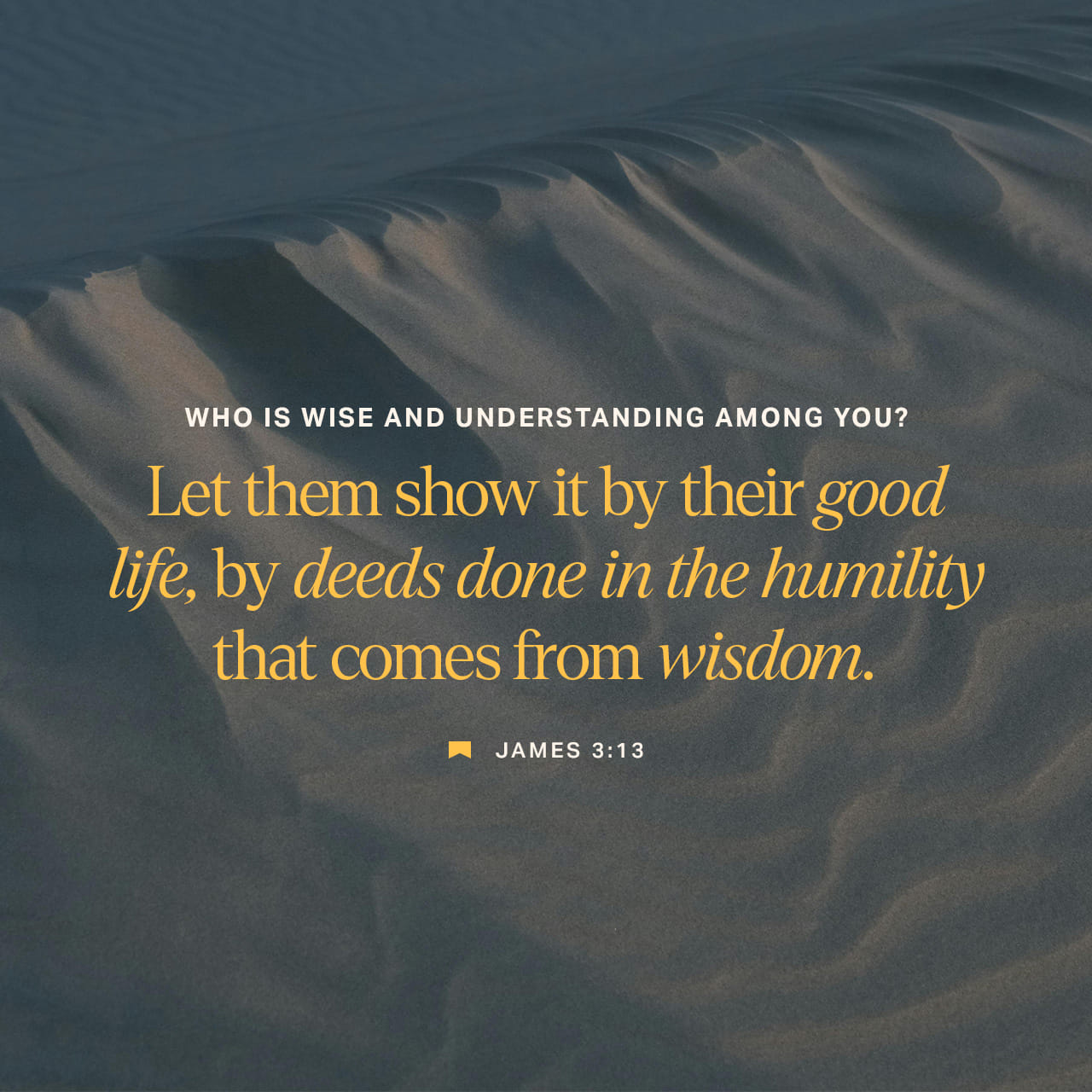 James 3:13 Who is a wise man and endued with knowledge among you? let him  shew out of a good conversation his works with meekness of wisdom. Who is  wise and understanding