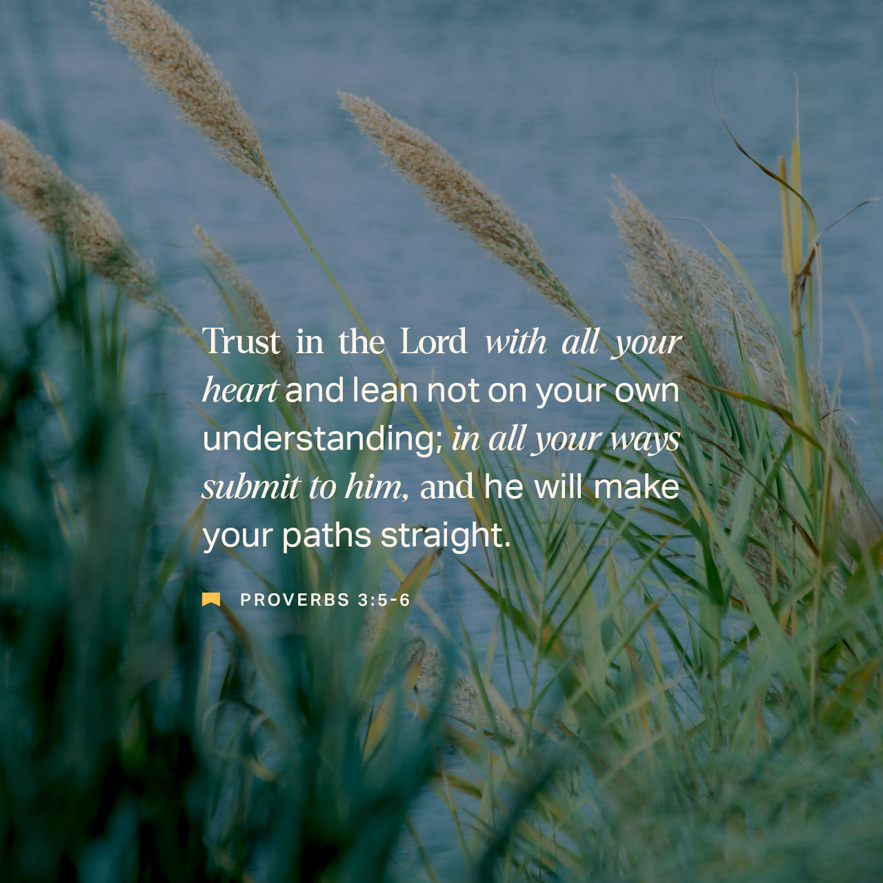 Trust in the Lord with All Your Heart - Proverbs 3:5 Meaning