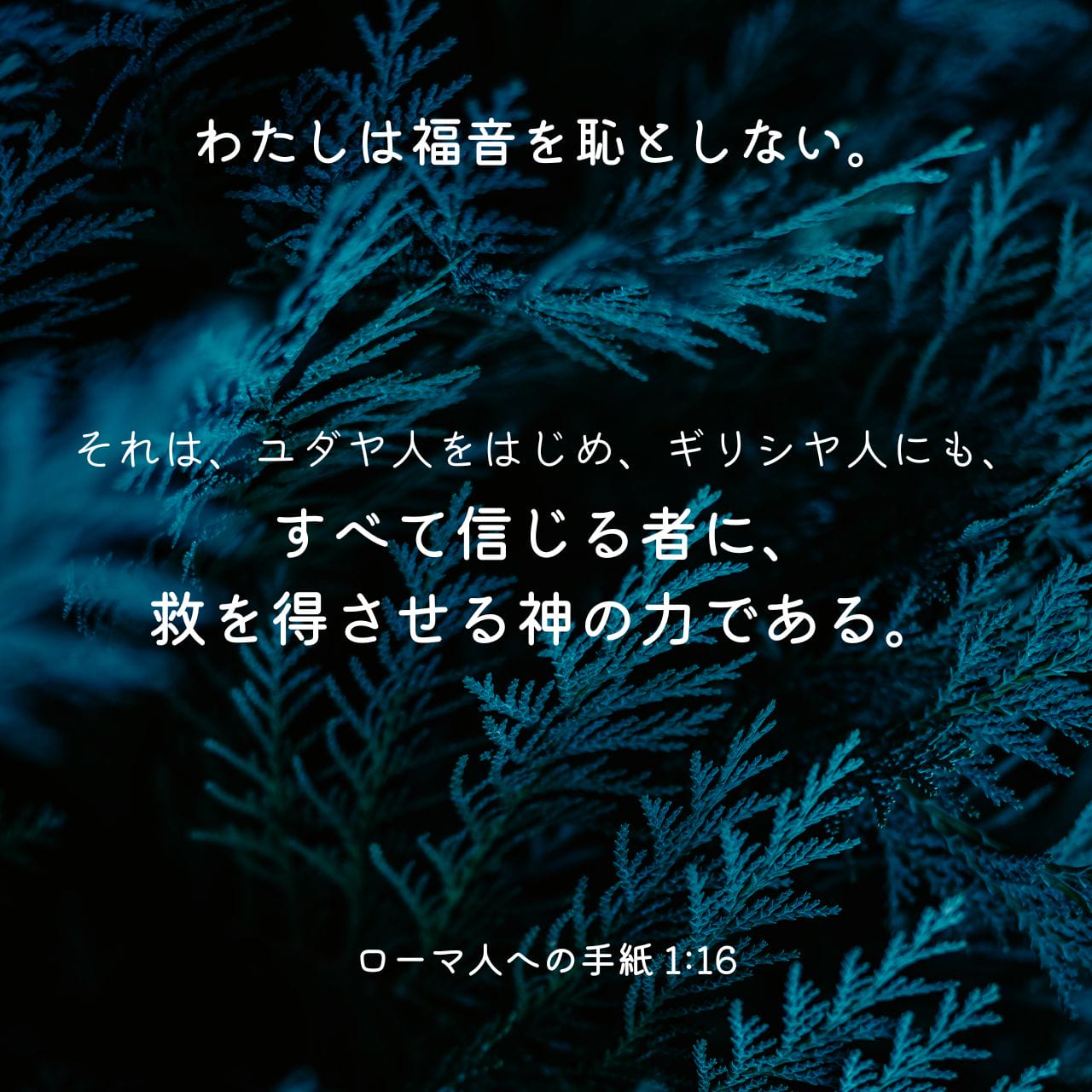 ローマの信徒への手紙 1:16 わたしは福音を恥としない。福音は、ユダヤ 