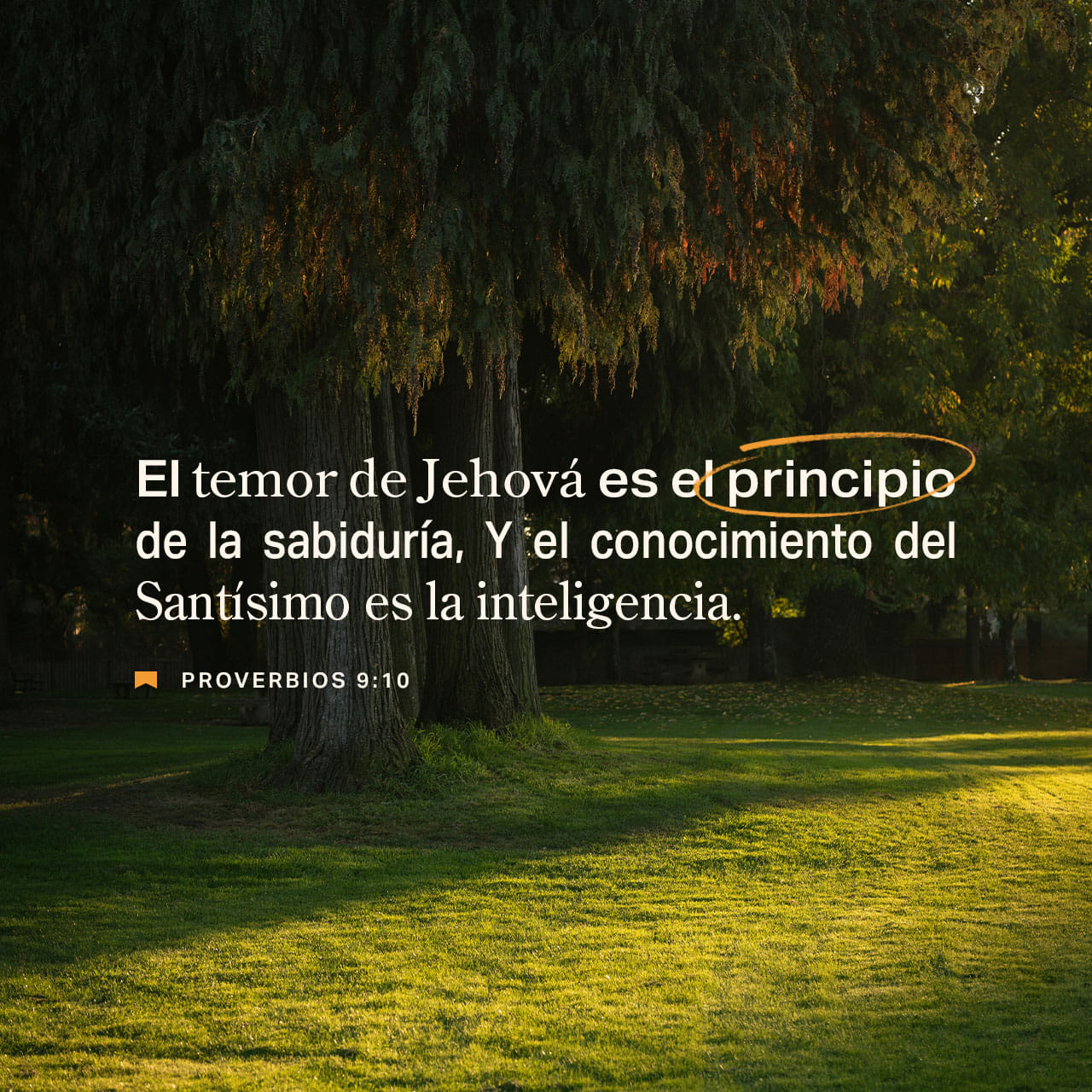 proverbios 9 17 18 explicación
