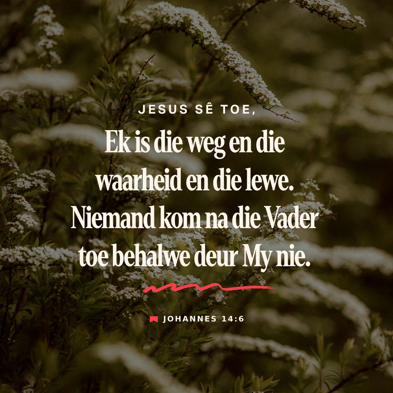 JOHANNES 14 6 26 AFR53 Jesus Antwoord Hom Ek Is Die Weg E 