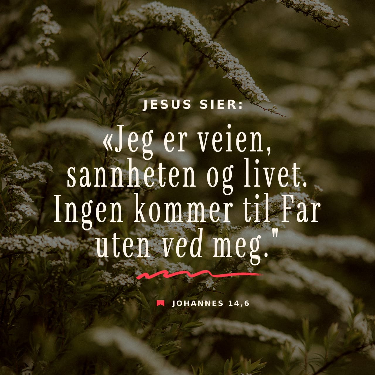 Johannes 14 6 Bibel1978 Jesus Sier Jeg Er Veien Sannhete 