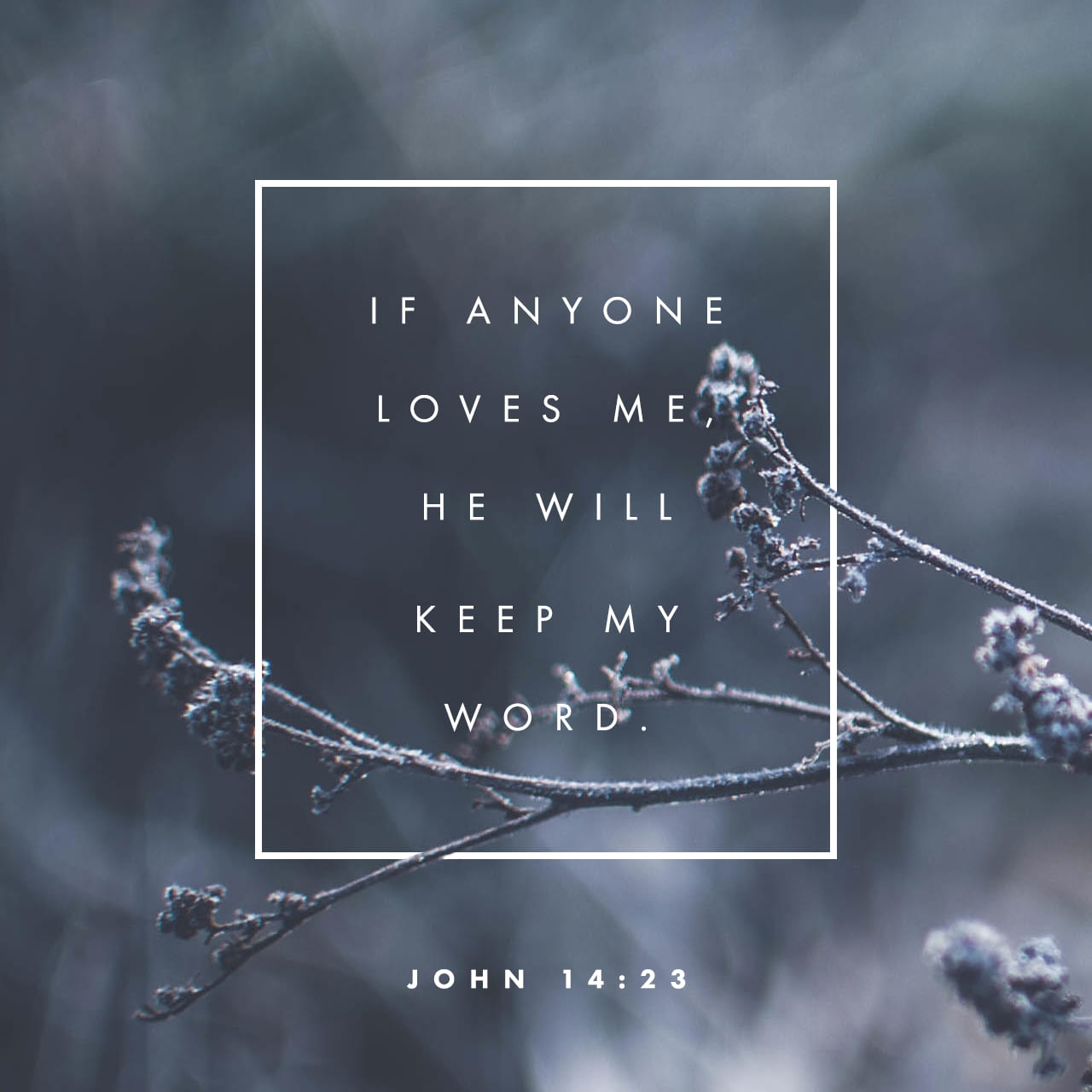 Bible Verse Of The Day Youversion