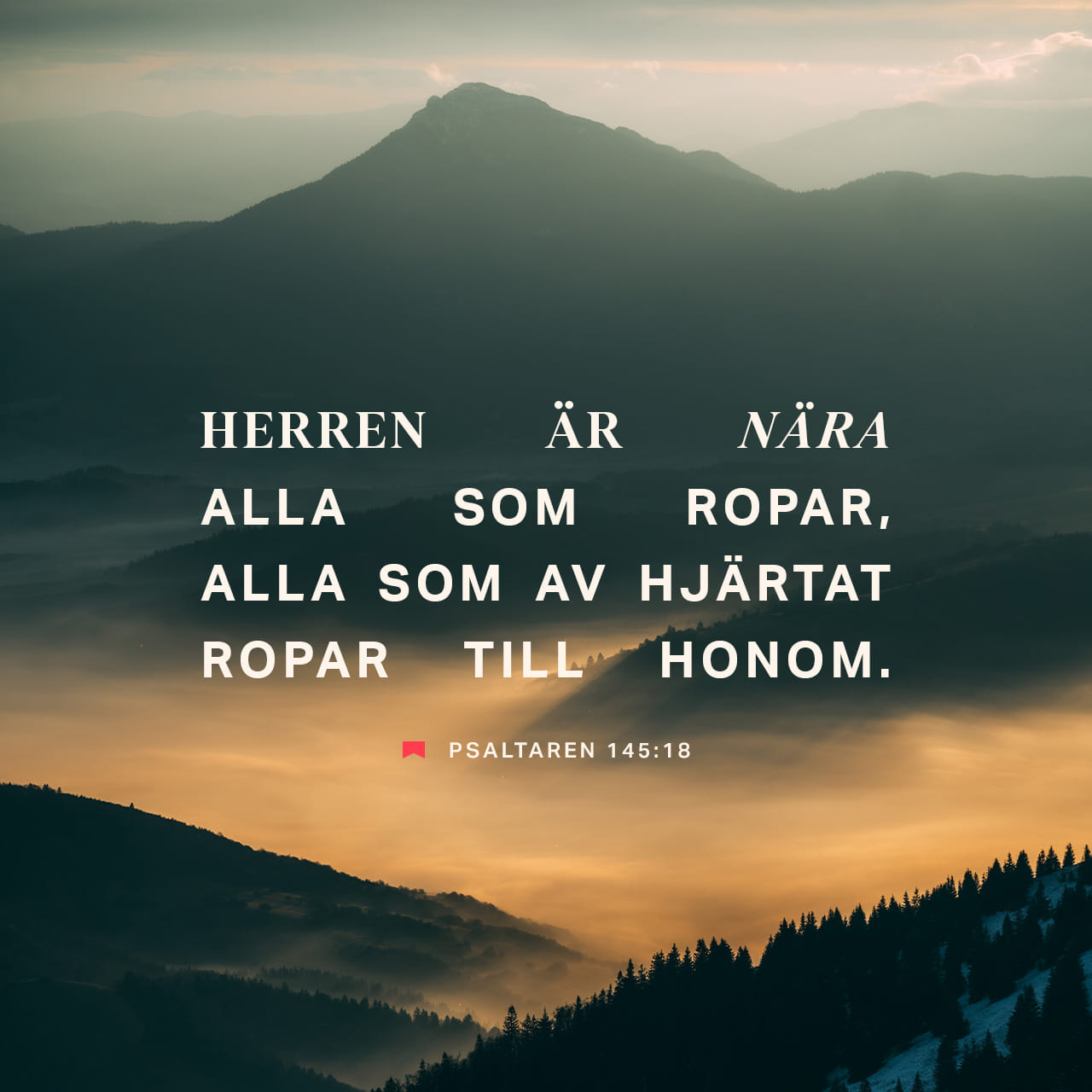 Qattiq rus seksini tomosha qiling Teenage Mutant Ninja Turtles filmidan yalangoch Aprel ONil