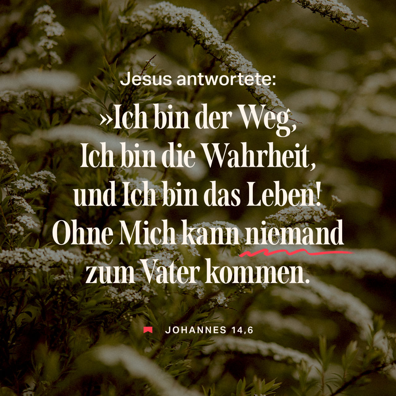 Johannes 14 6 Hfa Jesus Antwortete Ich Bin Der Weg Bibel App