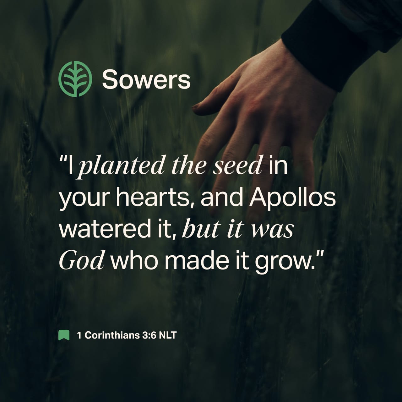“I planted the seed in your hearts, and Apollos watered it, but it was God who made it grow.” - 1 Corinthians 3:6 - Verse Image