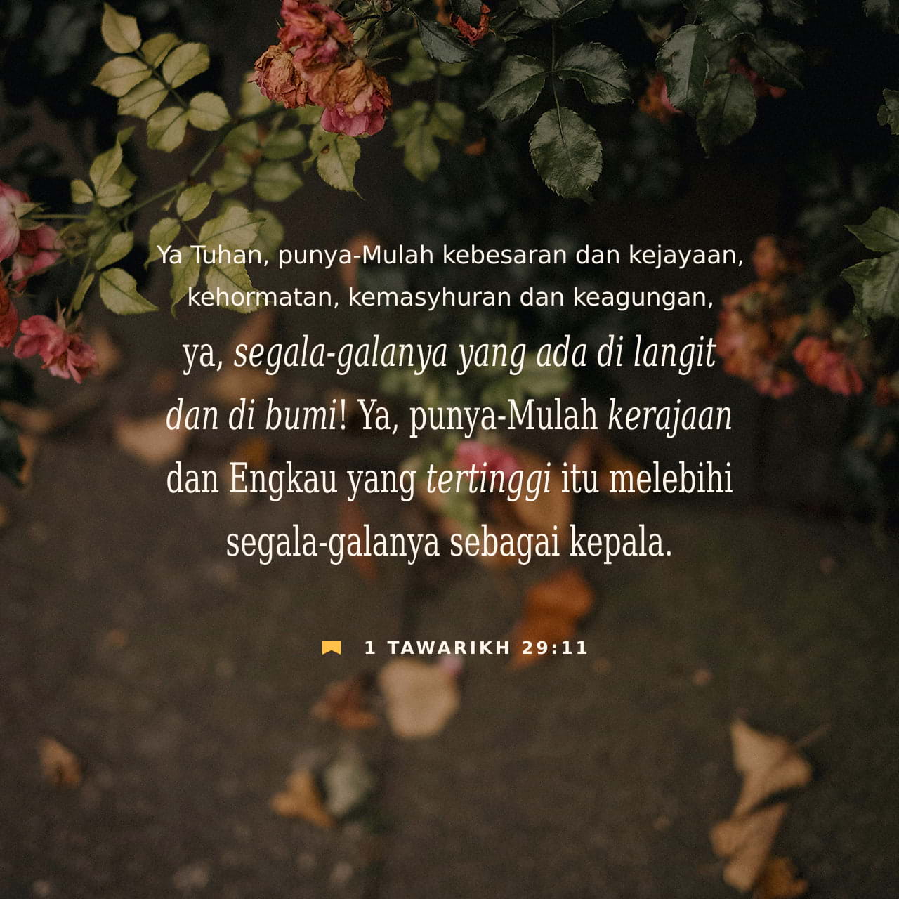 Mamba ru jinsiy aloqa Jinsiy aloqa va kuch mashqlari