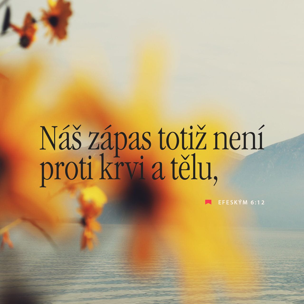 Efeským 6:12 Náš zápas totiž není proti krvi a tělu, ale proti vládám ...