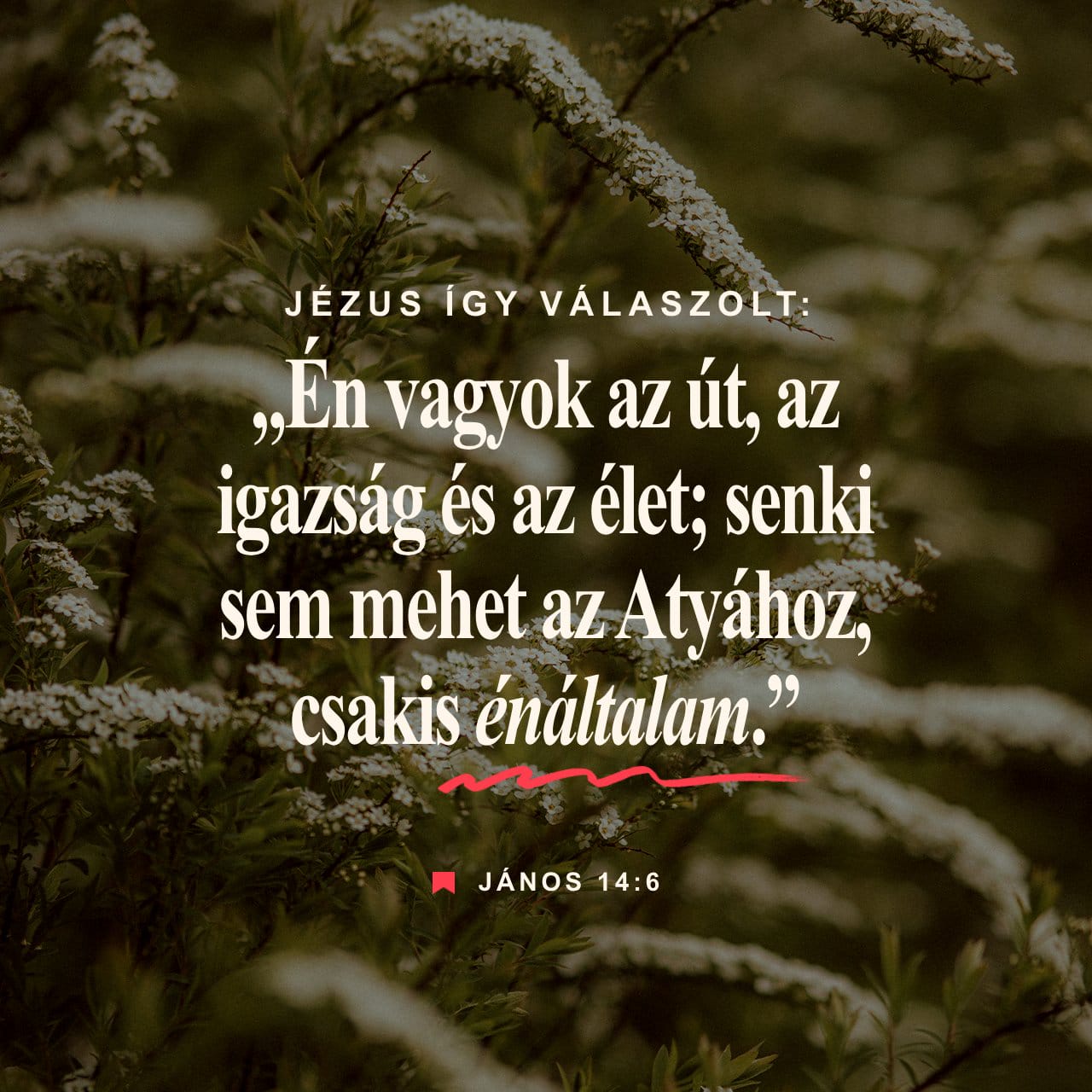 Sariq yigitning yuziga otirdi