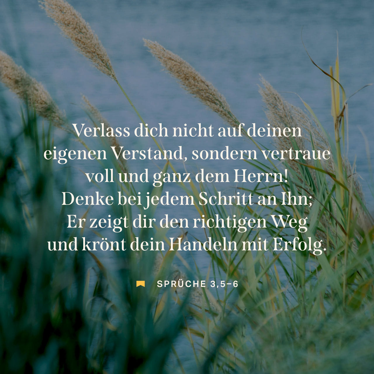 Sprüche 356 Vertraue auf den HERRN von ganzem Herzen und verlass dich