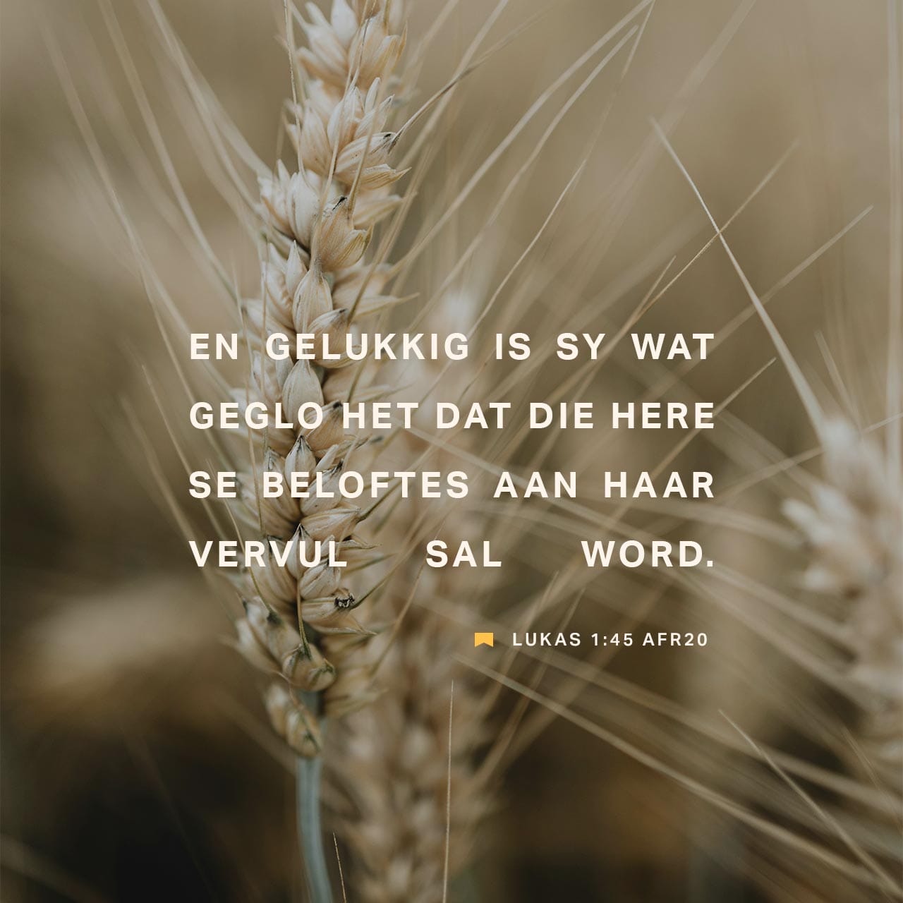 LUKAS 1:45-53 En salig is sy wat geglo het, want die dinge wat deur die ...