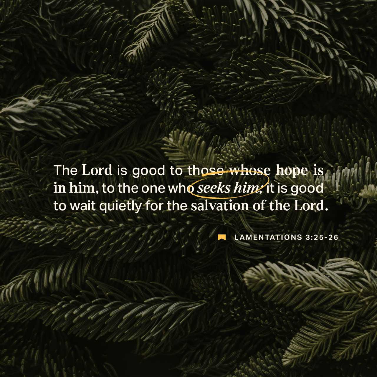 Lamentations 3:25-26 The LORD is good unto them that wait for him,
To the soul that seeketh him.
It is good that a man should both hope and quietly
Wait for the salvation of the LORD. | King James Version (KJV) | Download The Bible App Now