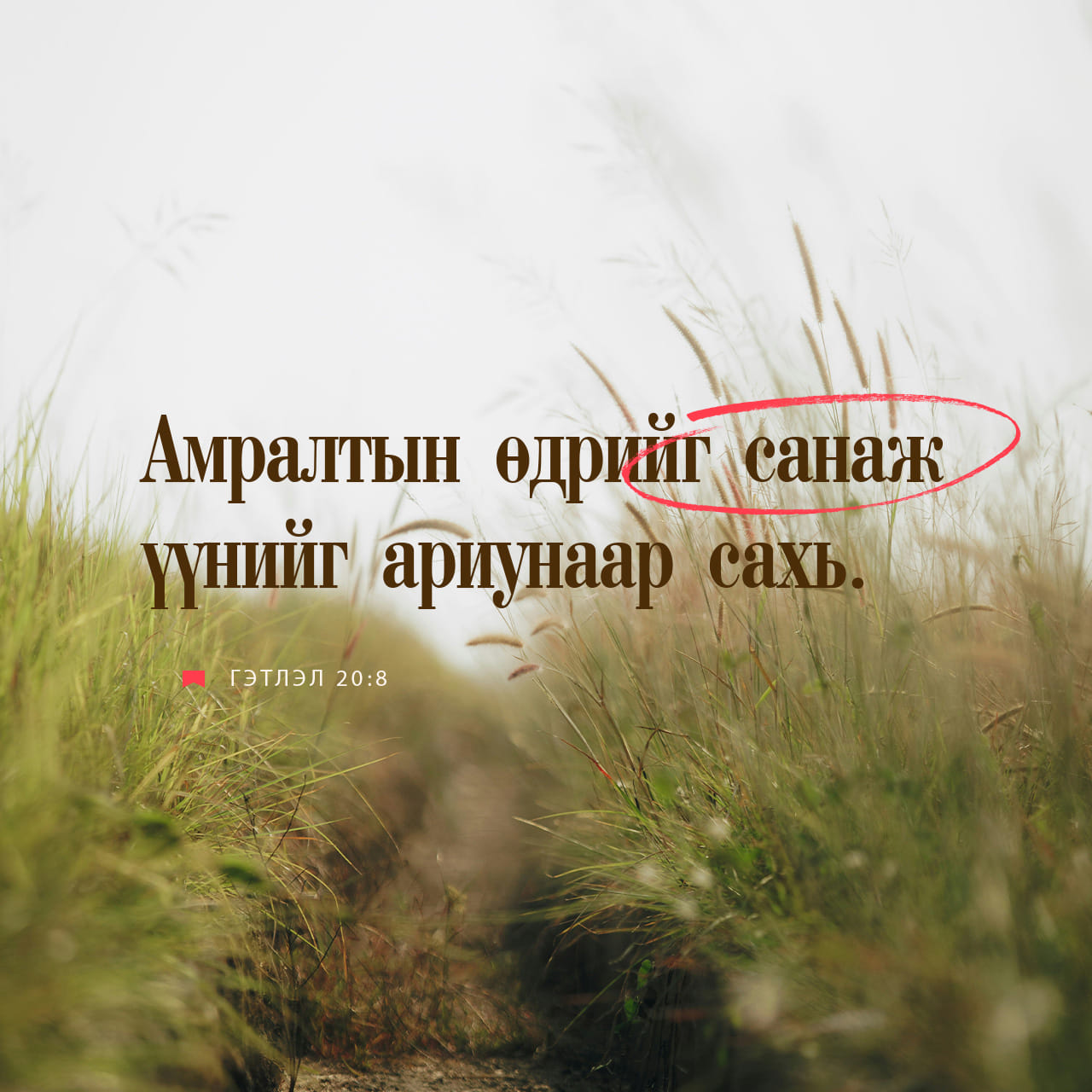 Аврил Сун өмірбаяны