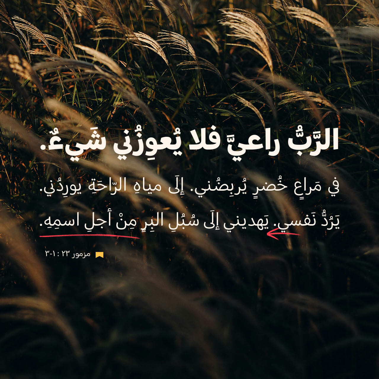 اَلْمَزَامِيرُ 1:23-3 (AVDDV) - الرَّبُّ راعيَّ فلا يُعوِزُني شَيءٌ ...