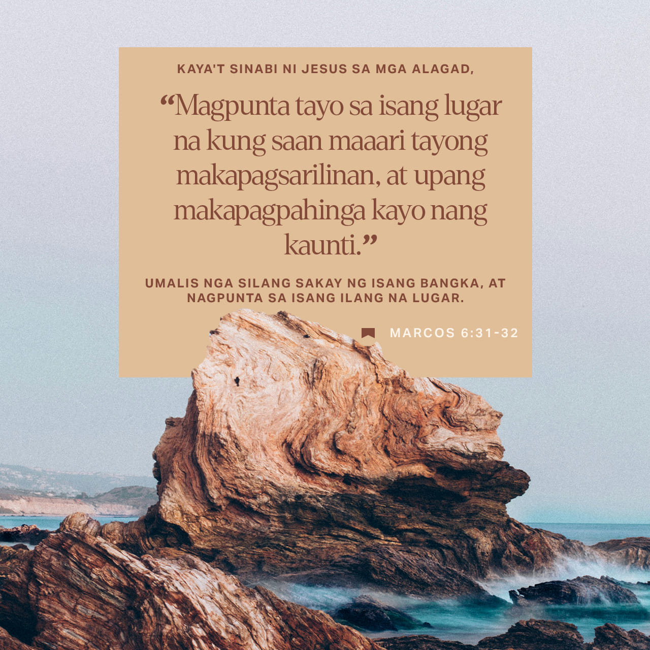 Mushuk suratga tushgan Dik