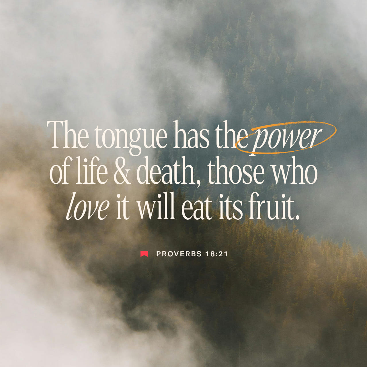 Proverbs 18:21 Death and life are in the power of the tongue:
And they that love it shall eat the fruit thereof. | King James Version (KJV) | Download The Bible App Now