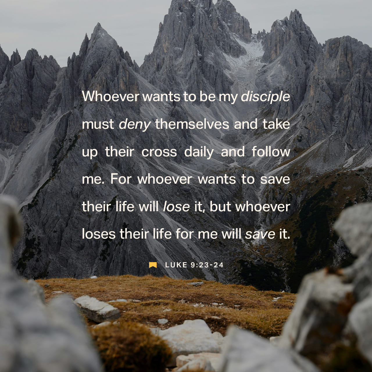 Luke 9:23-24 And he said to them all, If any man will come after me, let him deny himself, and take up his cross daily, and follow me. For whosoever will save his life shall lose it: but whosoever will lose his li | King James Version (KJV) | Download The