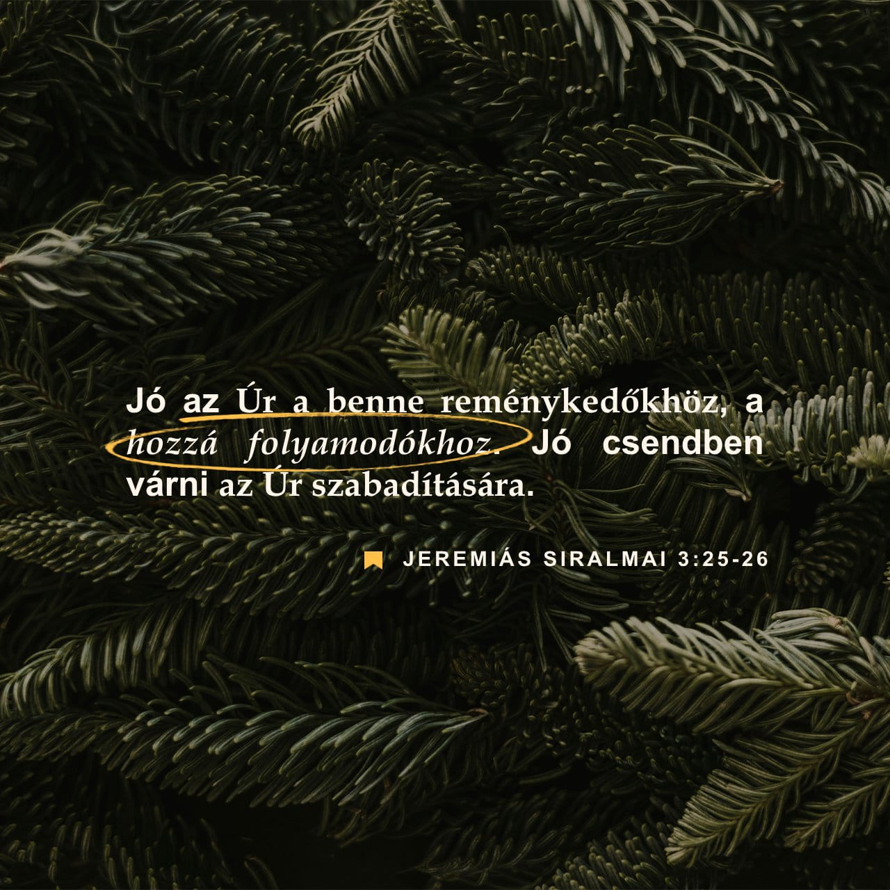 Qizni mushukcha ushlab turibdi