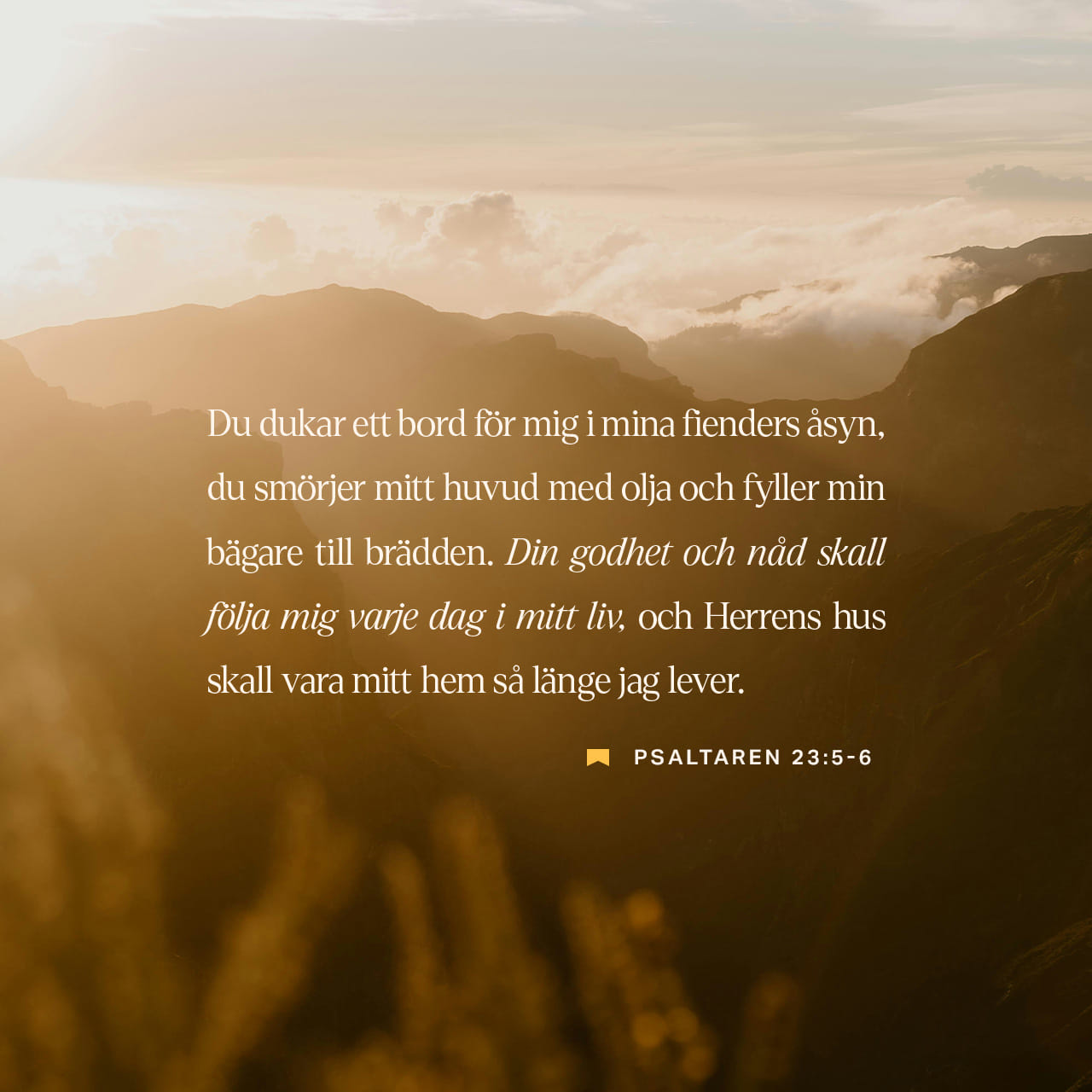 Rus ayollarining pornografik fotosuratlarini yubordi