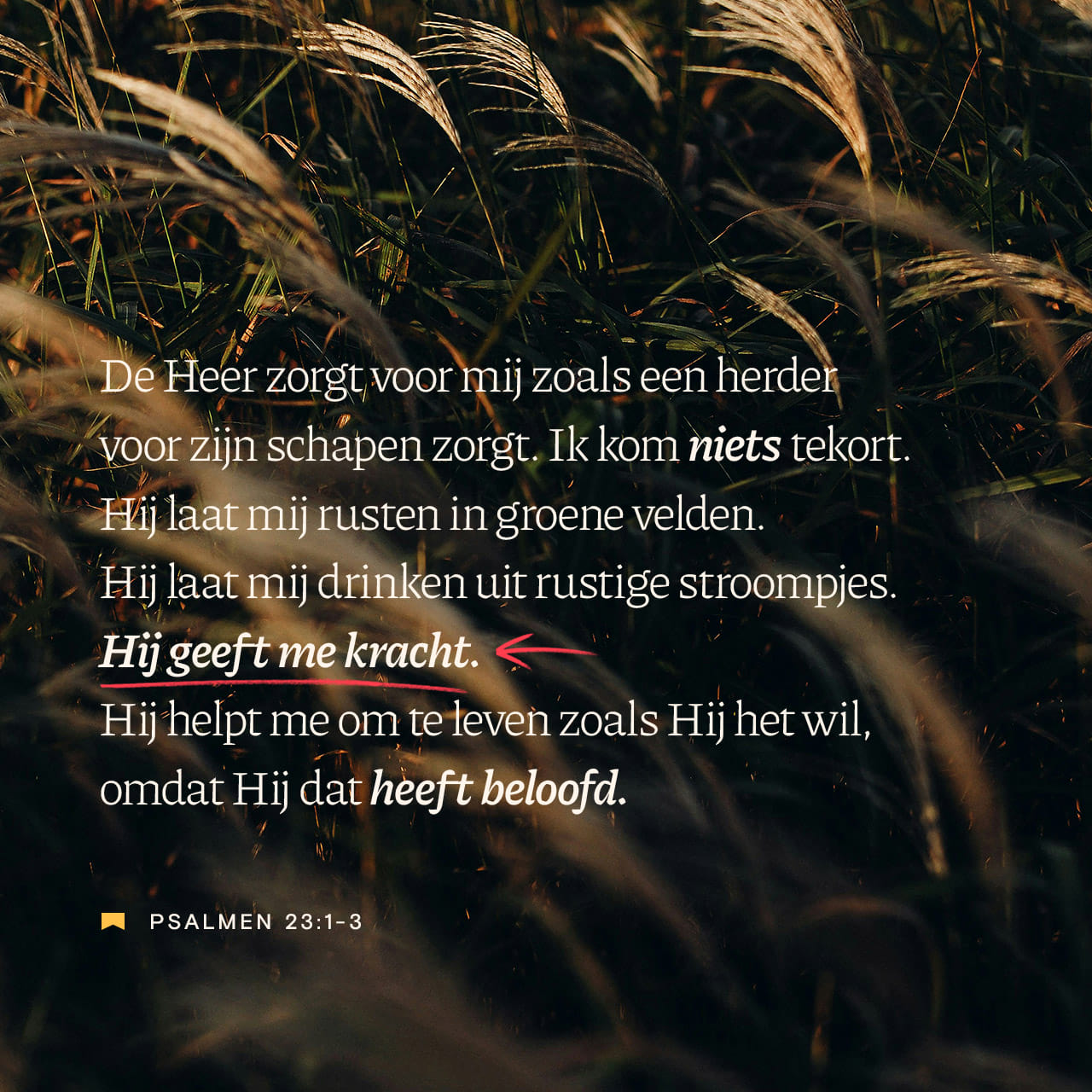 De Psalmen 23 1 6 De HERE Is Mijn Herder Mij Ontbreekt Niets Hij Doet Mij Nederliggen In