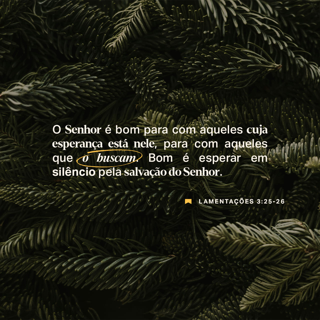 lamentações 3 22 23 arc