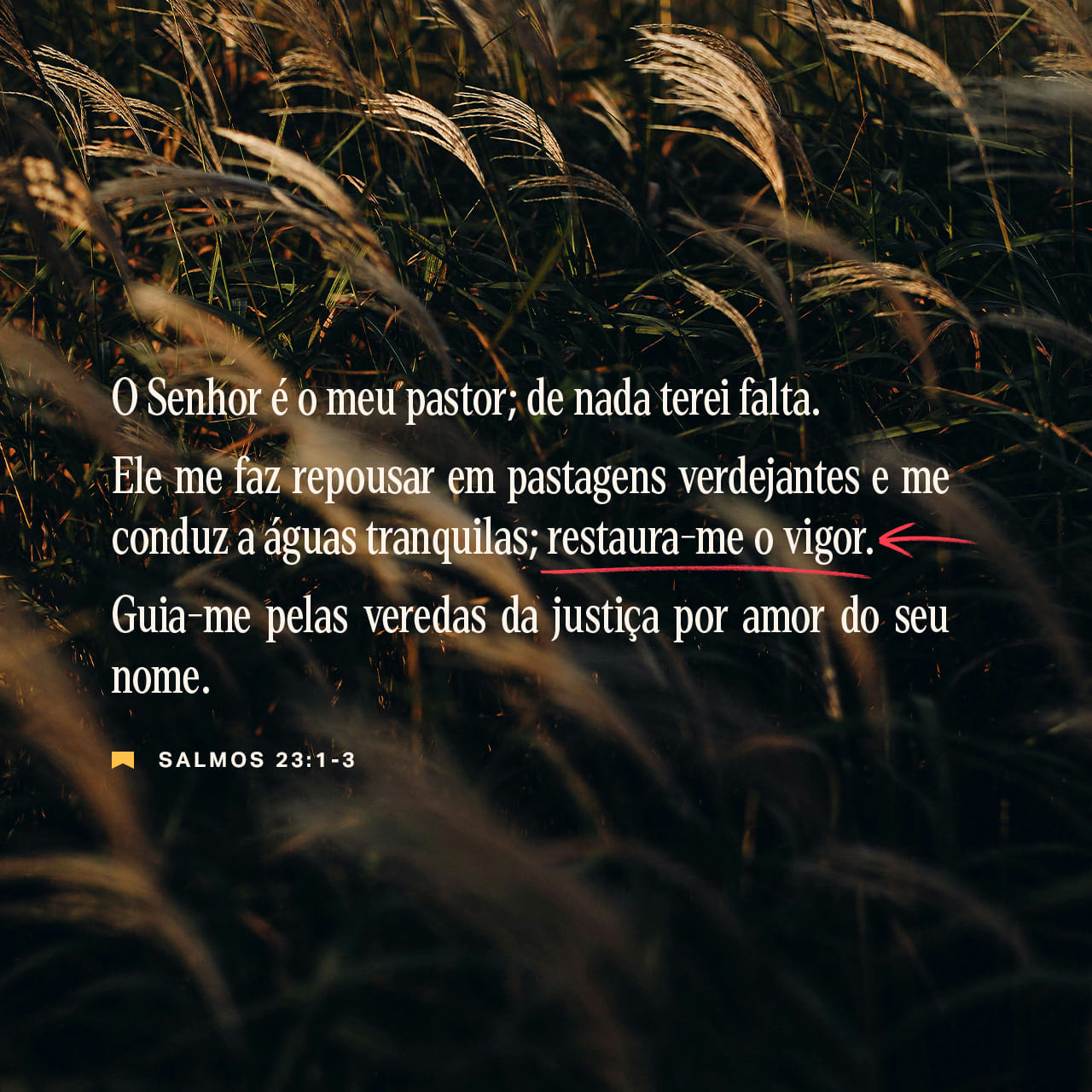 Salmos 23:1 O SENHOR é o meu pastor. Ele me dá tudo de que preciso! | Nova  Bíblia Viva Português (NBV-P) | Загрузите приложение Библия уже сейчас