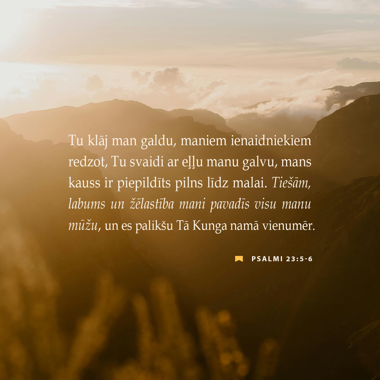 Rostov-Dondagi trans fohishalar Taqir chollarni sorish