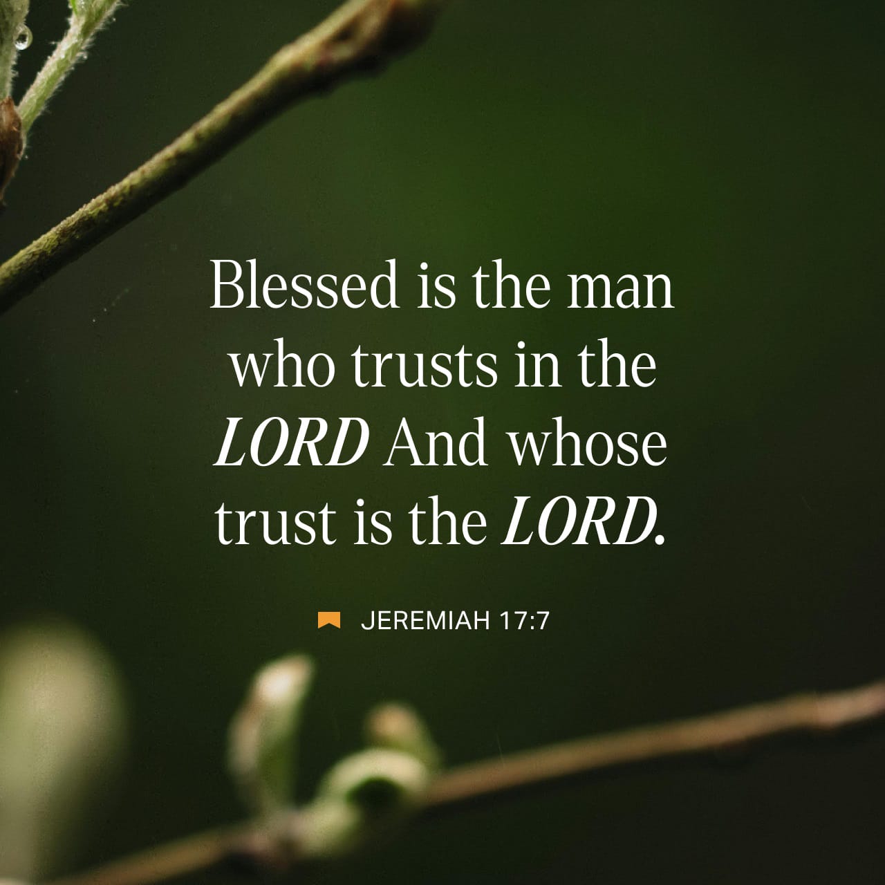 Jeremiah 17:7 Blessed is the man that trusteth in the LORD, and whose hope the LORD is. | King James Version (KJV) | Download The Bible App Now