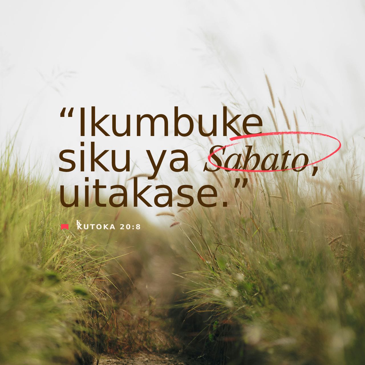 Kutoka 20:8 (BHN) - “Usisahau kuiweka takatifu siku ya | YouVersion