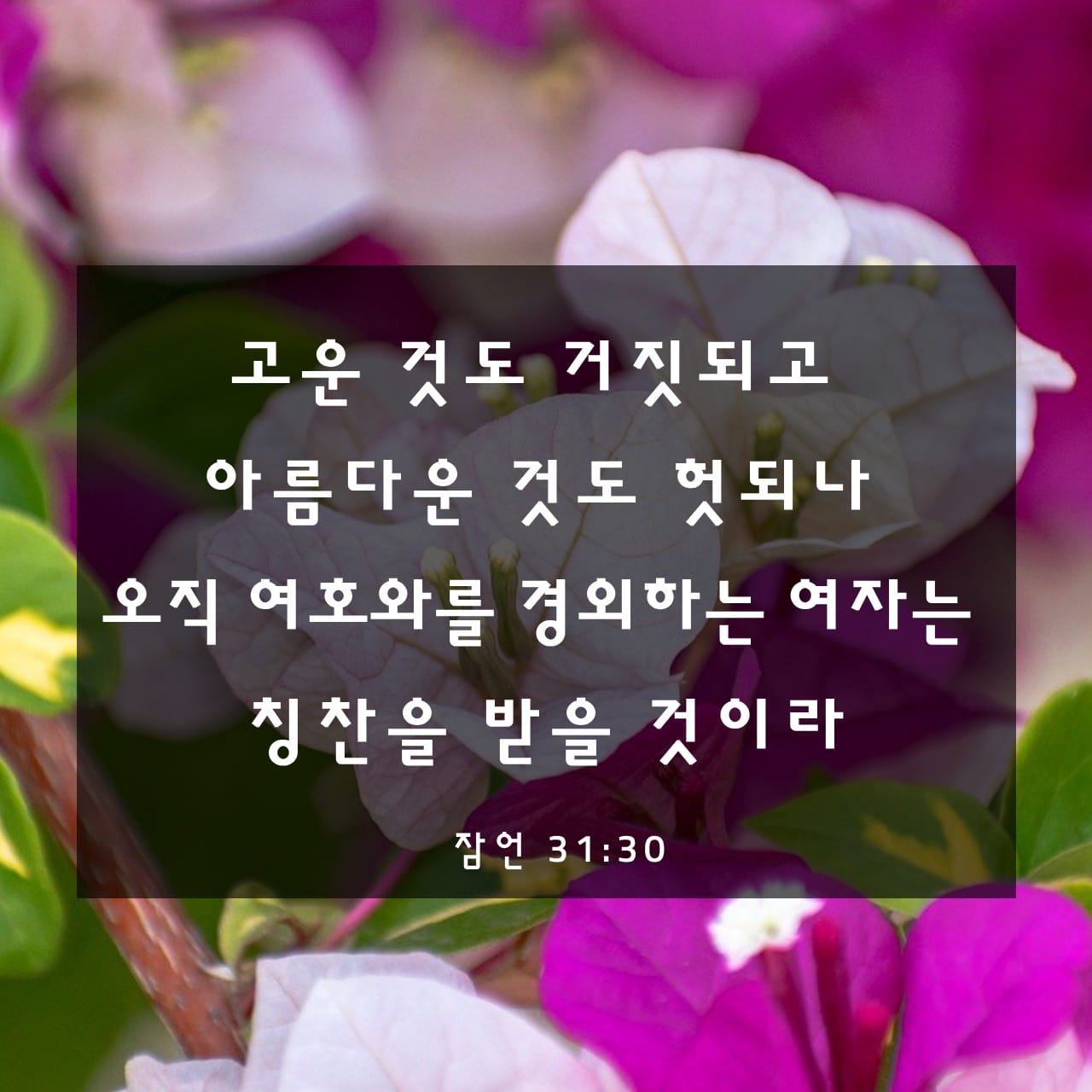 잠언 31:30-31 (KRV) - 고운 것도 거짓되고 아름다운 것도 헛되나 오직 여호와를 경외하는 - 성경 앱