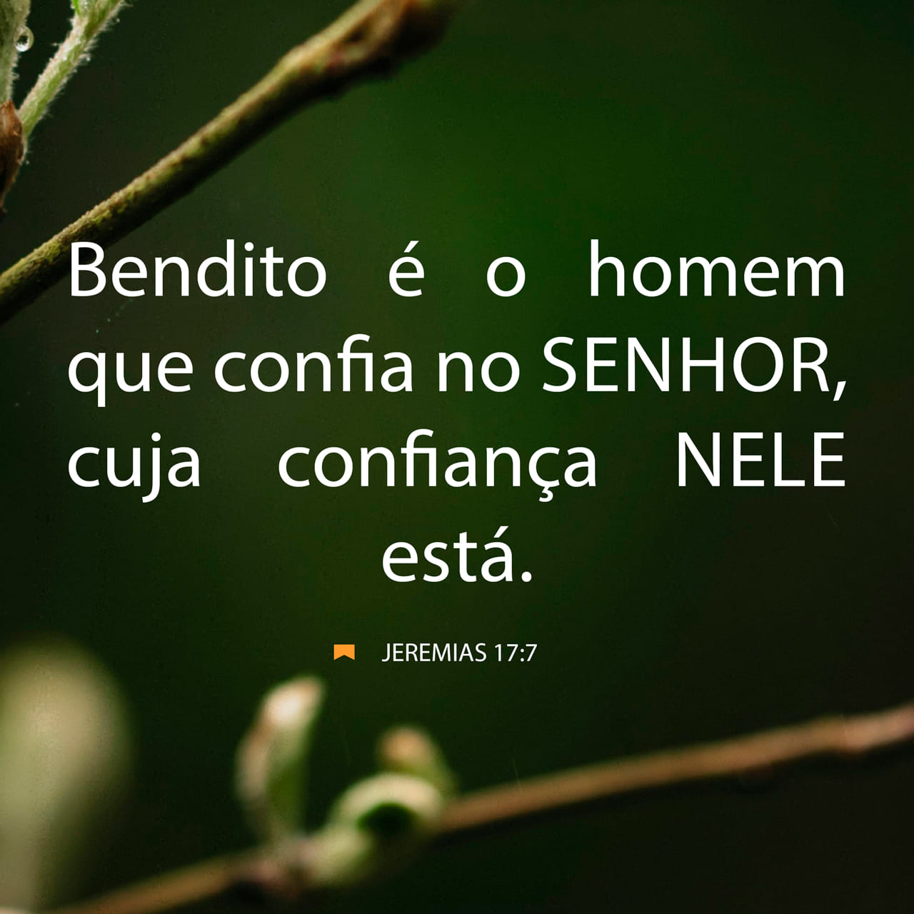 Jeremias 17:7, 9 Bendito o homem que confia no SENHOR e cuja esperança ...